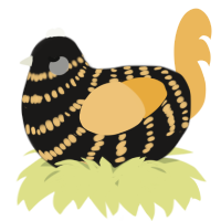 A sable and honey chicken with a bar pattern
