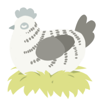 A white and ash chicken with a half-bar pattern