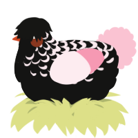 A black and rose chicken with a half-lace pattern