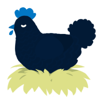 A tumblr chicken with a lace pattern