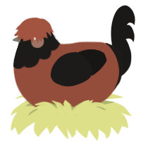 lentil, a russet and sable chicken with a head pattern
