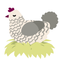 A cream and ash chicken with a lace pattern
