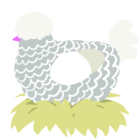 A silver and white chicken with a lace pattern