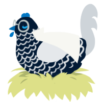 meidys, a tumblr and mist chicken with a lace pattern