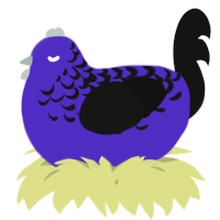 A indigo and black chicken with a half-lace pattern