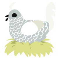 A silver and white chicken with a lace pattern