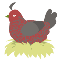 A red and grey chicken with a double-lace pattern