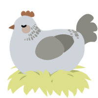 A mist and ash chicken with a neck-band pattern