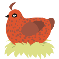 Rustie, a vermilion and russet chicken with a speckle pattern