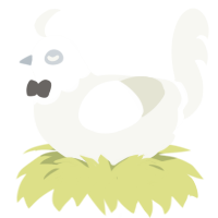 TEK, a white chicken with a head pattern