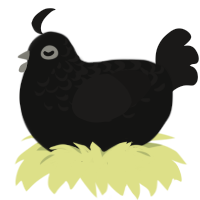Soot Sprite, a black and sable chicken with a half-lace pattern