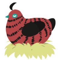 A red and sable chicken with a bar pattern