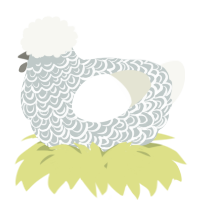A silver and white chicken with a double-lace pattern