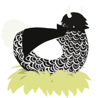 A sable and white chicken with a double-lace pattern