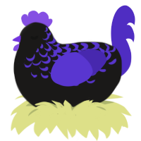 Gothic, a sable and indigo chicken with a half-lace pattern