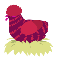 A wine and crimson chicken with a bar pattern