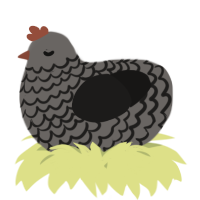 A grey and sable chicken with a lace pattern