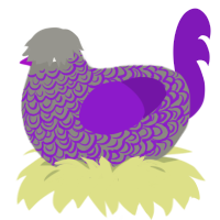 A ash and violet chicken with a double-lace pattern