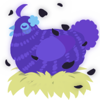 A violet and amethyst chicken with a bar pattern