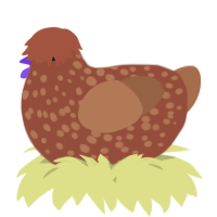 A russet and brown chicken with a speckle pattern