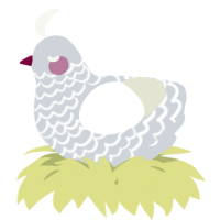 A mist and white chicken with a lace pattern
