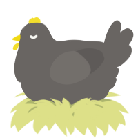 A grey chicken