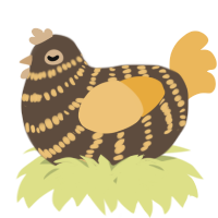 A bark and honey chicken with a bar pattern