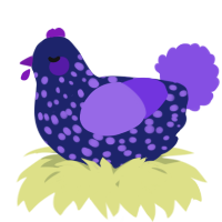 A navy and blurple chicken with a speckle pattern