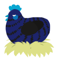 A navy and sable chicken with a bar pattern