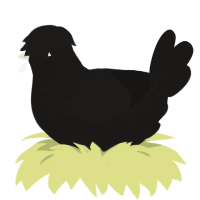 Full Moon, a sable chicken with a half-lace pattern