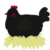 A black and sable chicken with a lace pattern