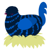 (unnamed), a tumblr and ultramarine chicken with a bar pattern