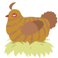A gold and brown chicken with a bar pattern