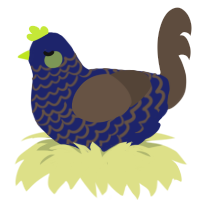 Stormy, a navy and bark chicken with a lace pattern