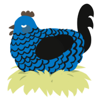 A sapphire and black chicken with a lace pattern