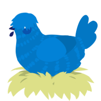 A sapphire chicken with a bar pattern