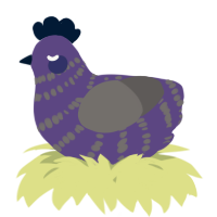 A overcast and grey chicken with a bar pattern