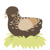 Cappuccino, a bark and beige chicken with a half-lace pattern