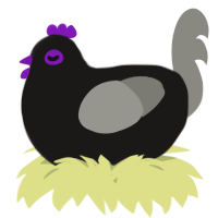 A sable and ash chicken
