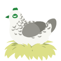 A white and ash chicken with a half-lace pattern