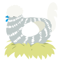 A silver and white chicken with a bar pattern