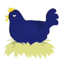 A navy chicken with a lace pattern