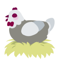 Chicken, a ash and mist chicken with a head pattern