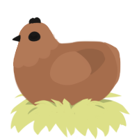 A brown chicken with a head pattern