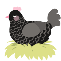 A sable and grey chicken with a lace pattern