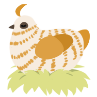 A cream and orange chicken with a bar pattern
