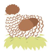 A white and brown chicken with a lace pattern