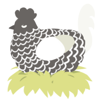 A grey and white chicken with a lace pattern