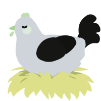 Winter, a mist and black chicken