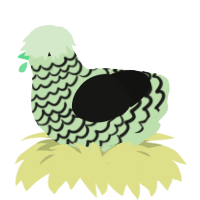 (unnamed), a gluppy and black chicken with a lace pattern